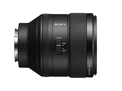 Sony FE 85mm f/1.4 GM Lens