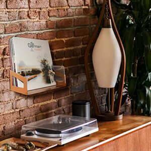 OLDBOYZ Vinyl Record Holder - Tabletop or Wall Mount Vinyl Record Storage Display Shelf- Fits Up to 40 12”LP Albums - Copper