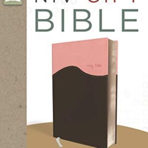 NIV, Gift Bible, Leathersoft, Pink/Brown, Red Letter Edition