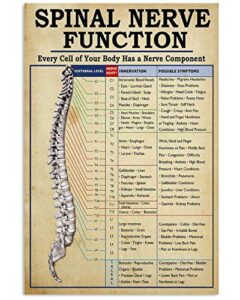 houvssen chiropractor spinal nerve function , celebration vintage courtyard restaurant store signs posters retro bar pub garage novelty funny metal tin art wall decor 8×12 inch