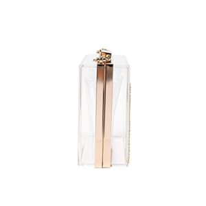 Mulian LilY Women Clear Purse Acrylic Transparent Clear Clutch Bag With rhinestones, Shoulder Handbag With Removable Gold Chain Strap M263