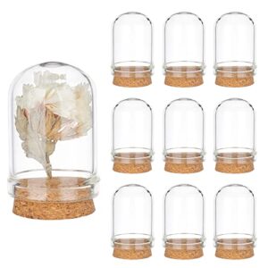 ph pandahall 10pcs cloche bell jar, glass display dome with cork base 8ml mini glass bottles dome decorative jars display case for flower storage home christmas party favor decoration, 0.86×1.4inch