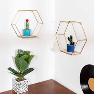 honey-can-do set of hexagonal decorative metal wall shelves, gold shf-09351 gold