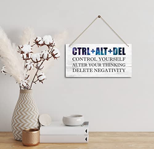 CTRL+ALT+DEL - Control Yourself-Alter Your Thinking - Delete Negativity. Inspirational Home Office Decor，Bedroom Decor, Farmhouse home decoration sign，or Any Other Home Decor