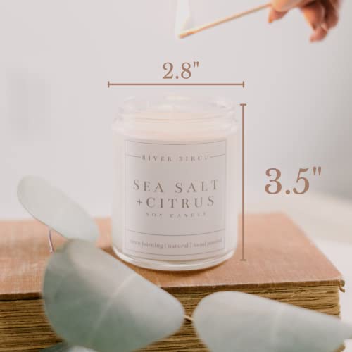 River Birch Candles Sea Salt & Citrus Scented Candle | Premium, All-Natural, Non-Toxic, Soy Candles | 8.5oz 40 Hr Burn Time | Cozy Relaxing Gifts for Home