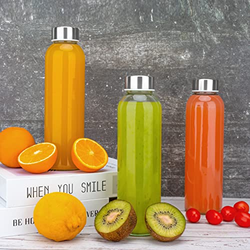 Sursip 18oz Glass Water Bottle Set of 10, Clear glass juice bottle for juicing，Reusable Drinking Bottles with Stainless Steel Lid，Beverage Storage Containers for Refrigerator-BPA Free，Leak Proof