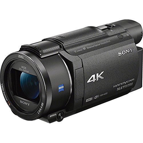 Sony FDRAX53/B 4K HD Video Recording Camcorder (Black)