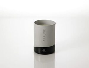 marriott attune candle – notes of fuji apple, rose, and cassis – hand-poured soy wax blend in gray porcelain jar