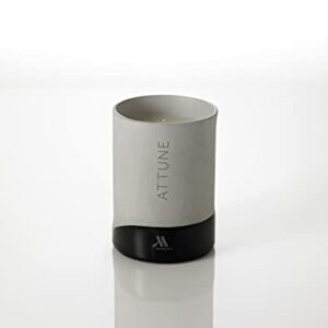 Marriott Attune Candle - Notes of Fuji Apple, Rose, and Cassis - Hand-Poured Soy Wax Blend in Gray Porcelain Jar