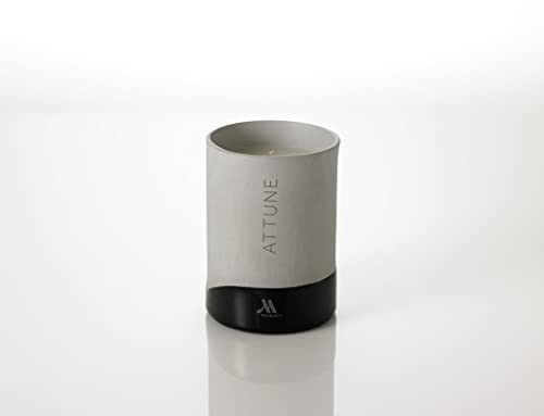 Marriott Attune Candle - Notes of Fuji Apple, Rose, and Cassis - Hand-Poured Soy Wax Blend in Gray Porcelain Jar