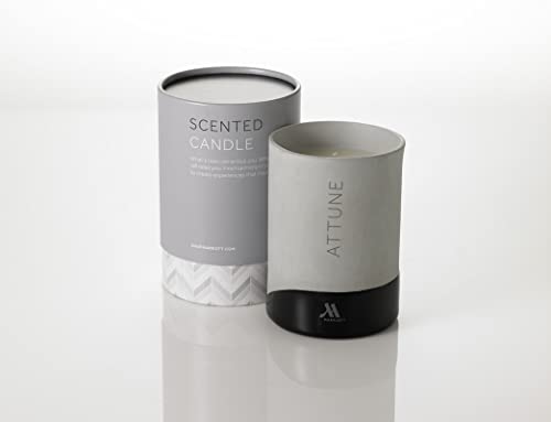 Marriott Attune Candle - Notes of Fuji Apple, Rose, and Cassis - Hand-Poured Soy Wax Blend in Gray Porcelain Jar