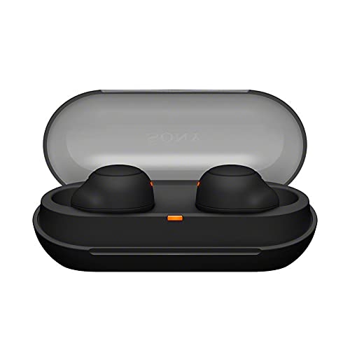 Sony WF-C500 Truly Wireless in-Ear Bluetooth Earbud Headphones (Black) with Earbud Case Bundle (2 Items)