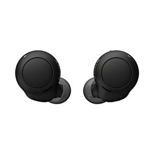 Sony WF-C500 Truly Wireless in-Ear Bluetooth Earbud Headphones (Black) with Earbud Case Bundle (2 Items)