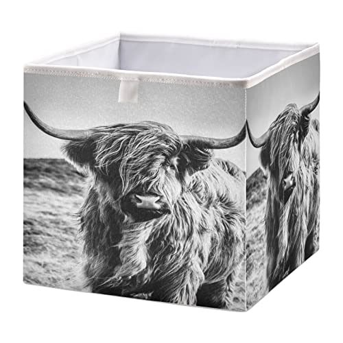 WELLDAY Storage Basket Highland Cow Foldable 11 x 11 x 11 in Cube Storage Bin Home Decor Organizer Storage Baskets Box for Toys, Books, Shelves, Closet, Laundry, Nursery