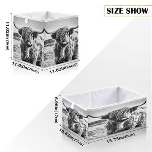 WELLDAY Storage Basket Highland Cow Foldable 11 x 11 x 11 in Cube Storage Bin Home Decor Organizer Storage Baskets Box for Toys, Books, Shelves, Closet, Laundry, Nursery