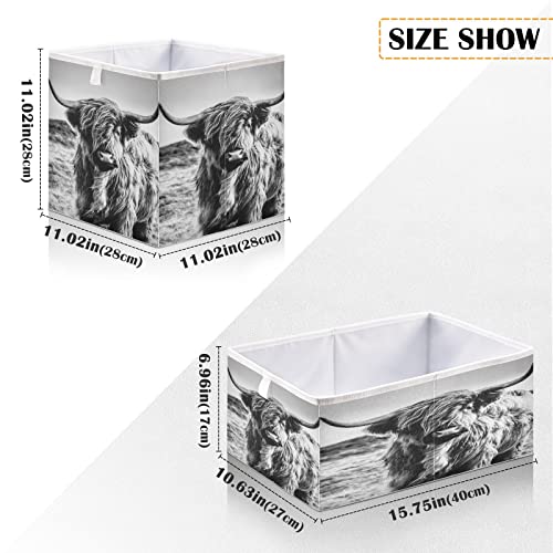 WELLDAY Storage Basket Highland Cow Foldable 11 x 11 x 11 in Cube Storage Bin Home Decor Organizer Storage Baskets Box for Toys, Books, Shelves, Closet, Laundry, Nursery