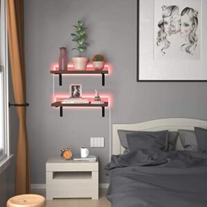 Lexenic Solid Wood Floating Shelves with RGB LED Light for Home Decor,Wall Shelves with RGB Back Lighting,17 Inch Long,Hanging Wall Shelves for Wall Decor, Bedroom, Living Room, Bathroom 2 Pack