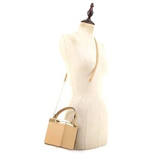 Small Medium Top Handle Square Frame Clutch Purse Crossbody Bag (White)