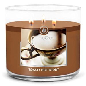 toasty hot toddy large 3-wick candle