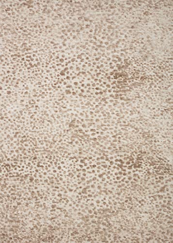Loloi II Neda Collection NED-02 Ivory/Sand, Transitional 3'-6" x 5'-6" Accent Rug