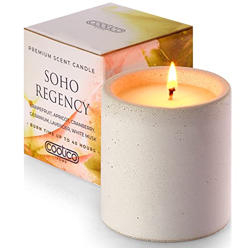 Scented Candles for Home Scented Aromatherapy Candle for Women, All-Natural Non-Toxic Soy Candle Gift in Concrete Jar, 7 Oz (Soho Regency)