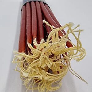 33 Natural 100% Beeswax Taper Candles 11 inch Tall Blessed Church Jerusalem Holy Land Candles (Red)