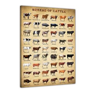 basyeeo breeds of cattle poster,common breeds of beef and dairy cows, animal poster farmhouse wall art prints unframed 12x18inch