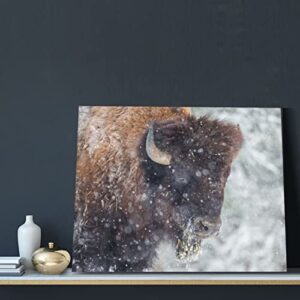 MOYMTEP American Bison Or Buffalo Resting in A Snow Storm Canvas Wall Art Gallery Artwork for Living Room Bedroom - Modern Home Decor Stretched and Framed Ready to Hang Pictures 16x20 Inches
