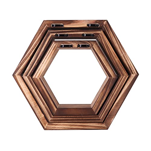 LANYUNBAN Hexagon Shelves Set of 3, Honeycomb Shelf, Wall Mounted Geometric Hexagon Shelves, Boho Wall Décor, Classic Geometric Decoration for Office, Bedroom and Living Room (Torchwood) (Torchwood)