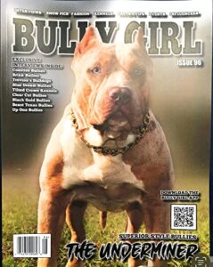 bully girl magazine issue # 96 [the underminer cover]