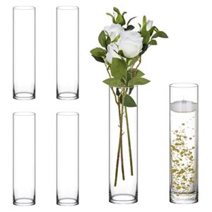 cnartisan glass cylinder vase, 16 inch tall x 4 inch wide, 6 pieces, perfect for wedding centerpieces and home decor, suitable for flowers, floating candles, pillar candles and succulents