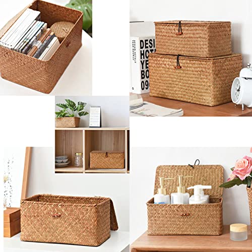 Rattan Storage Basket Hand-Woven Storage Basket Multipurpose Container with Lid for Desktop Home Decor (M)