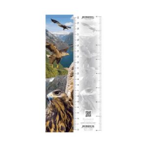 spectacular 3d bookmark – birds of prey