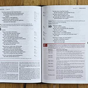 NIV, Life Application Study Bible, Third Edition, Large Print, Bonded Leather, Brown, Red Letter, Thumb Indexed