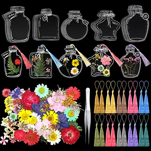 81 Pcs DIY Transparent Dried Flower Bookmark Set Include 20 Clear Bookmarks 40 Dried Flowers 20 Colorful Tassels and Tweezer Handmade Dried Floral Bookmark for Reader School Book Bottle Supplies