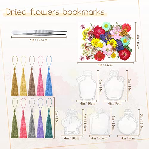 81 Pcs DIY Transparent Dried Flower Bookmark Set Include 20 Clear Bookmarks 40 Dried Flowers 20 Colorful Tassels and Tweezer Handmade Dried Floral Bookmark for Reader School Book Bottle Supplies