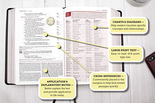 NIV, Life Application Study Bible, Third Edition, Large Print, Bonded Leather, Black, Red Letter, Thumb Indexed