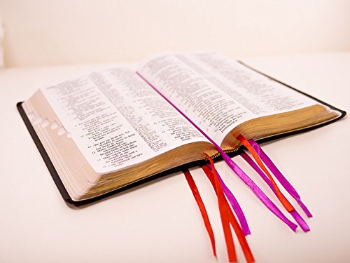 Bookmark for Bible or any Book Multi-Color 8-Page Ribbon Marker