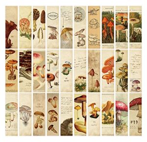 vintage natural style forest story series bookmarks (mushrooms)