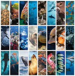 jbh creations ocean animal bookmarks – pack of 48