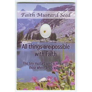 faith mustard seed wallet cards with mustard seed (pack of 12)