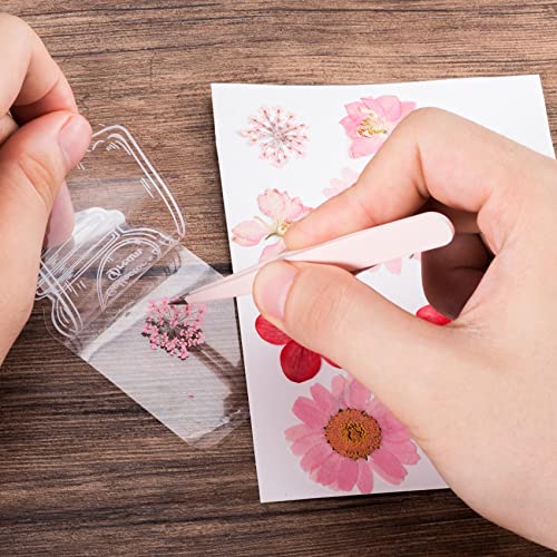 PAGOW 60PCS Transparent Dried Flower Bookmarks Stickers Craft Clear Drift Bottle Page Clips Handmade DIY Beautiful Glassware Decal(6 Size)