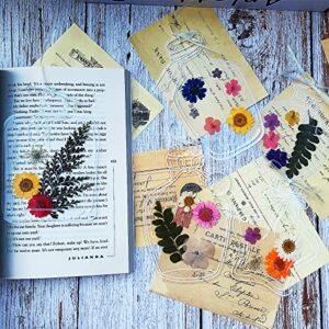 5 Large PET Bookmarks Book Accessories Transparent Dried Flower Bookmarks, Creative Handmade Flower Bookmarks,Unique Gifts for Readers