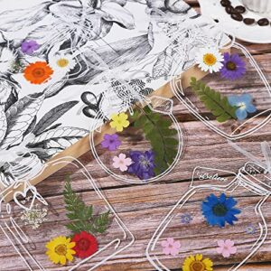 5 Large PET Bookmarks Book Accessories Transparent Dried Flower Bookmarks, Creative Handmade Flower Bookmarks,Unique Gifts for Readers