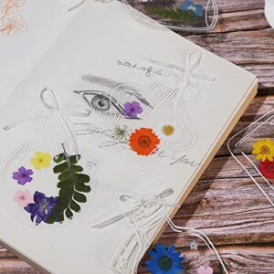 5 Large PET Bookmarks Book Accessories Transparent Dried Flower Bookmarks, Creative Handmade Flower Bookmarks,Unique Gifts for Readers