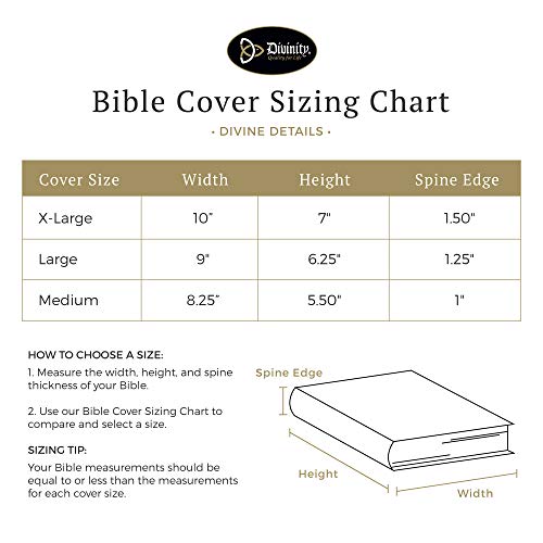 Divinity Boutique for I Know XL Bible Cover, Multicolor