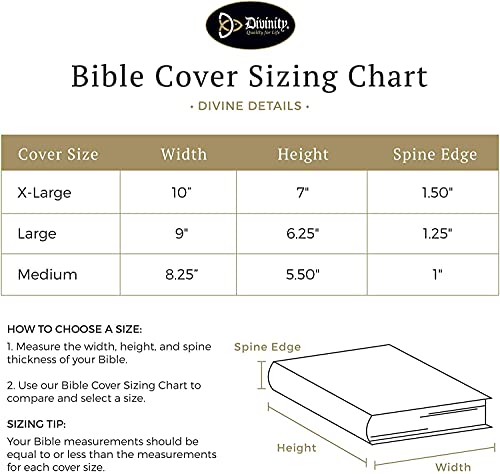 Divinity Boutique for I Know XL Bible Cover, Multicolor