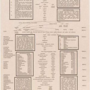 Shannon Roddy The Biblical Genealogy Chart, Family Tree from Adam to Jesus, Books of the Bible Timeline Chart, Gift for Pastors (2 Pack)