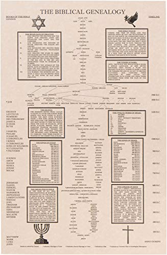 Shannon Roddy The Biblical Genealogy Chart, Family Tree from Adam to Jesus, Books of the Bible Timeline Chart, Gift for Pastors (2 Pack)