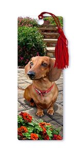 dimension 9 3d lenticular bookmark with tassel, dachshund, pet breed series (lbm049)